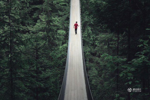 步步惊心！加拿大“惊悚吊桥”悬挂高空森林环绕