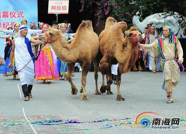 三亚游客同玩穿越 体验丝路文化 网友齐呼:城会玩