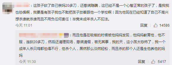 “我杀的是我妈，又不是别人，凭啥不让我上学？”